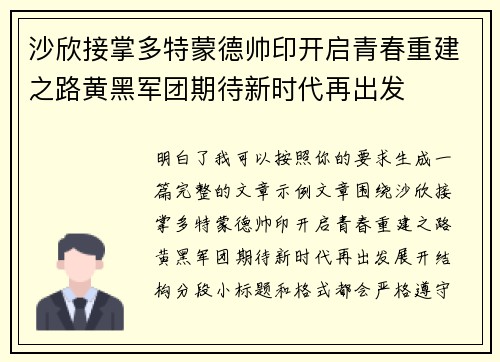 沙欣接掌多特蒙德帅印开启青春重建之路黄黑军团期待新时代再出发